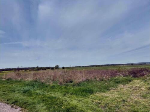 Blick vor dem Haus - 