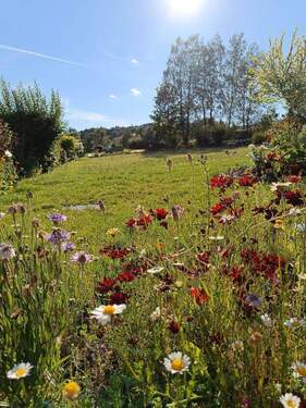 Bild 1 - Einmalige Gelegenheit traumhaftes Baugrundstück in Bad Steben