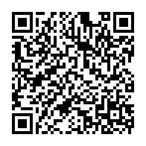 QR-Code - 