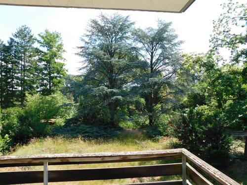 DSCN1337.JPG - 
