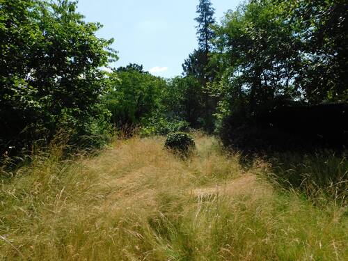 DSCN1338.JPG - 