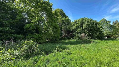 Viel Platz für Ihre Ideen - Naturbelassenes Baugrundstück in attraktiver Lage von Horst-Hahnenkamp (Holstein) - 1.158 m²
