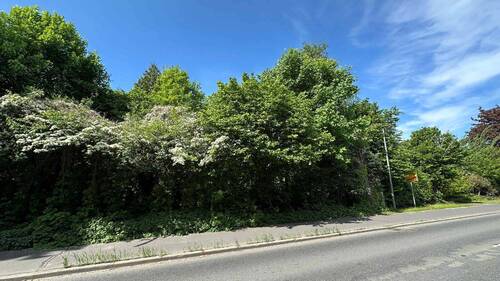 Ansicht von der Horster Landstraße - Grundstück in Horst