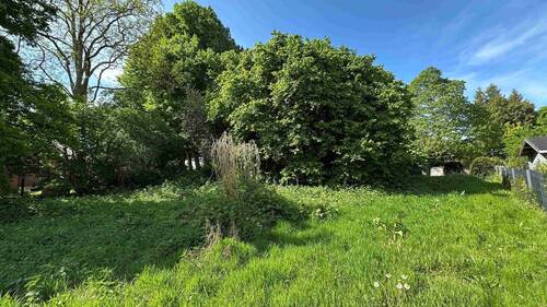 Naturbelassen - Grundstück in Horst zum Kaufen