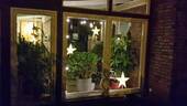 Wintergarten - 
