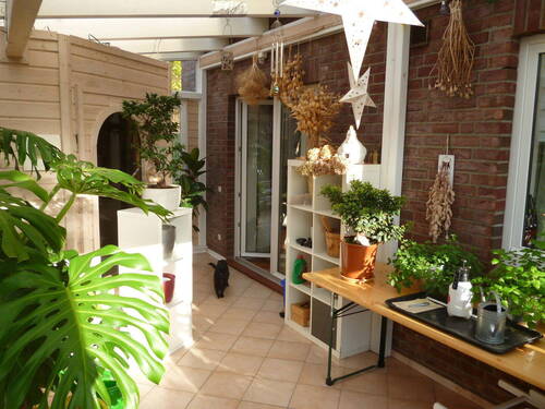 Bild 12 - 
