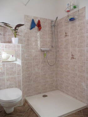 GästeWC mit Dusche - 