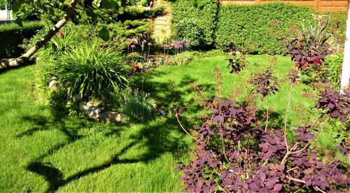 Gartensüdseite - 