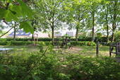 Spielplatz - 