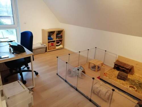 1.OG rechts - Kinder- oder Arbeitszimmer - 