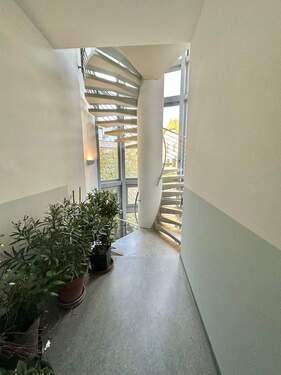 Treppenturm - 3 Zimmer Etagenwohnung in Dresden