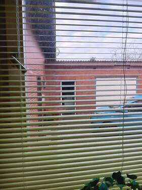 Blick v. Küche in den Hof - 