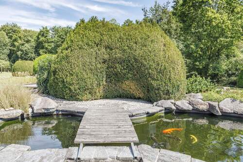 Teich - 