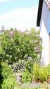 Bild 15 - 