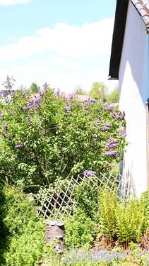 Bild 15 - 
