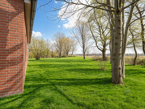 10.. Garten Hinten (Gestaget) - 