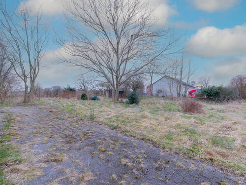 7. Garten Rechte Seite - 