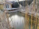 Teich, Gartenhaus, Terrasse - 