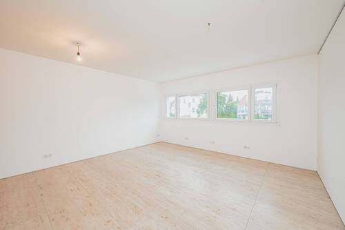 Zimmer - 