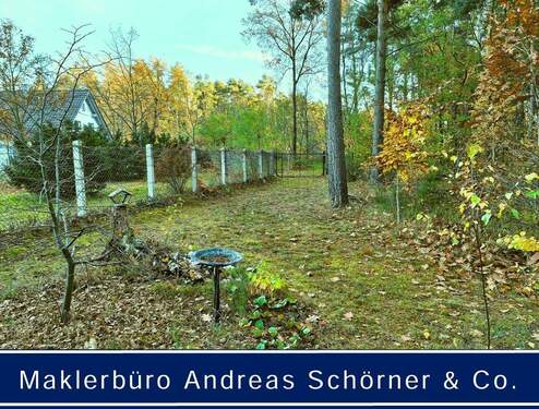 01 Tor und Weg.jpeg - Außergewöhnliches Grundstück im Süden von Cottbus