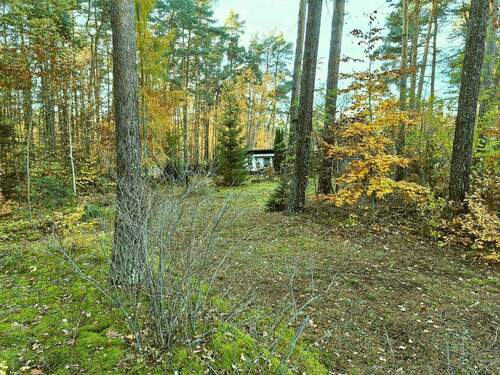 02 Weg zum Bungalow.jpg - Grundstück zum Kaufen in Cottbus