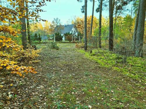 03 Weg zum Bungalow.jpg - Grundstück in Cottbus