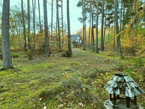 04 Weg zum Bungalow.jpg - Grundstück in Cottbus zum Kaufen