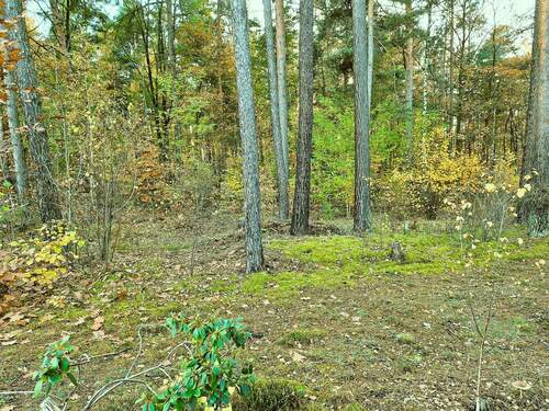 06 GS vor Bungalow.jpg - 