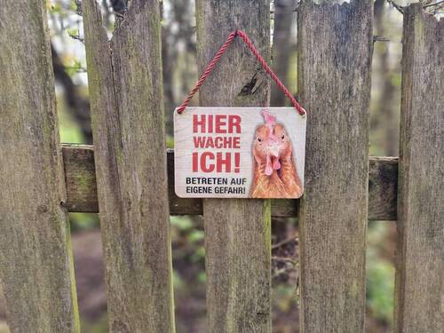 Hühner - 