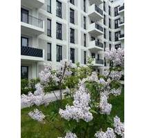 1 Zimmer mit Garten im Erdgeschoss - HAVELUFER Quartier - Berlin Spandau