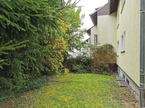 Gemeinschaftsgarten - 