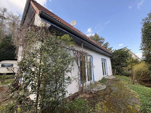 Hinteransicht - 