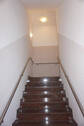 Bild11 - 
