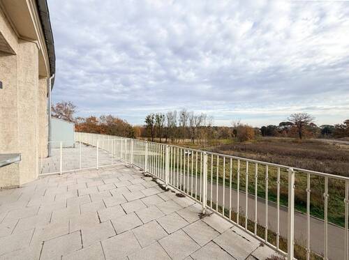 Gemeinschaftsterrasse - 