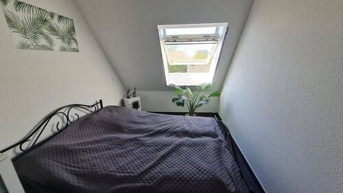 Bild 12 - 