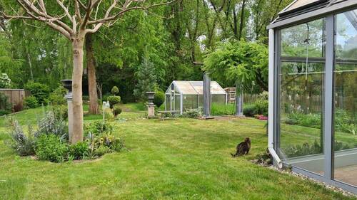 Blick in den Garten - 