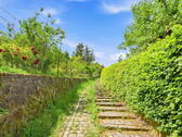Weg Wangener Höhe - 