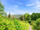 Aussicht Wangener Höhe - 