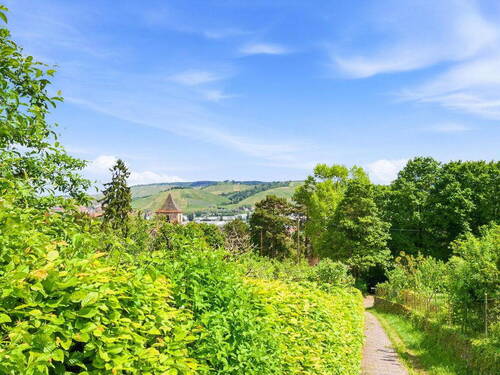 Aussicht Wangener Höhe - 