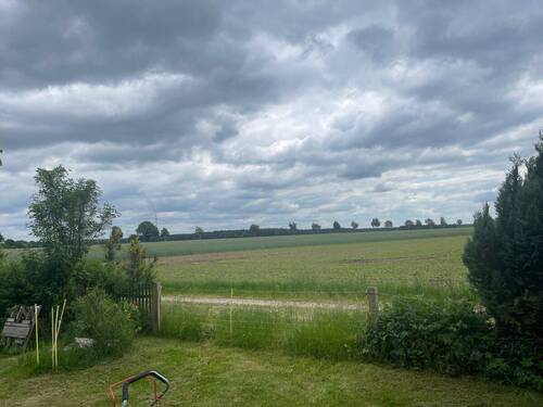 Feldblick - 