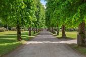 Bild 16 - 
