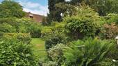 Blick in den Garten - 