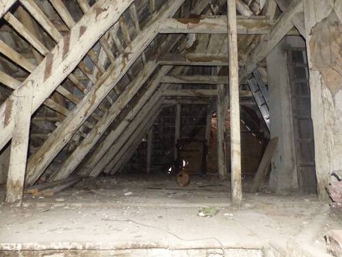 Dachspitz - 