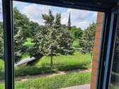 Park, Blick aus dem Fenster - 