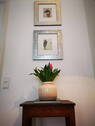 Bild 8 - 