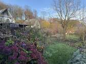 Blick in den Garten - 