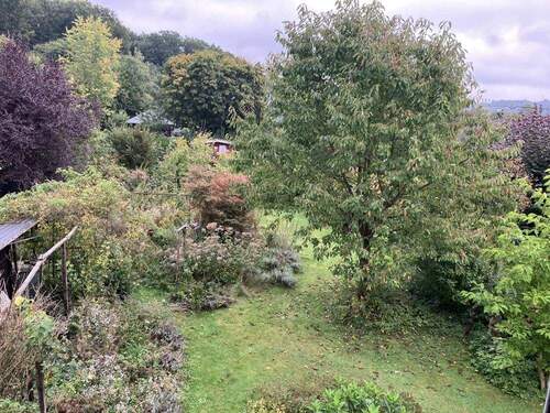 Blick in den Garten - 