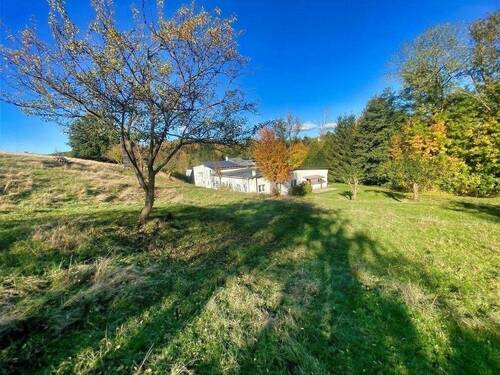 Hausansicht - 1 Zimmer Einfamilienhaus zum Kaufen in Netzschkau