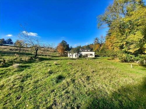 Hausansicht - 1 Zimmer Einfamilienhaus in Netzschkau