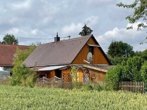 Blick aufs Grundstück mit Altbestand - 